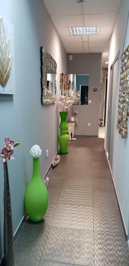 Charming Design Apartment In The Heart Of ליידן מראה חיצוני תמונה